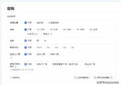 将该时段出价提拔2